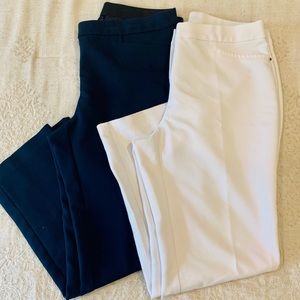 Two Pair of Rafaella Pants Curvy Size 8